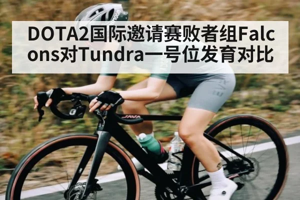 DOTA2国际邀请赛败者组Falcons对Tundra一号位发育对比 | kaiyun